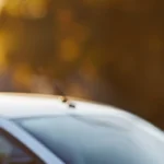 Mejor seguro por kilometraje